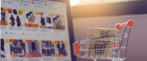 Search Engine Optimization Services